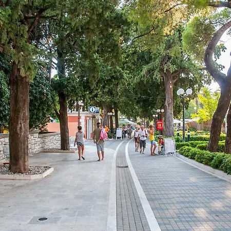 Mair Ντουμπρόβνικ