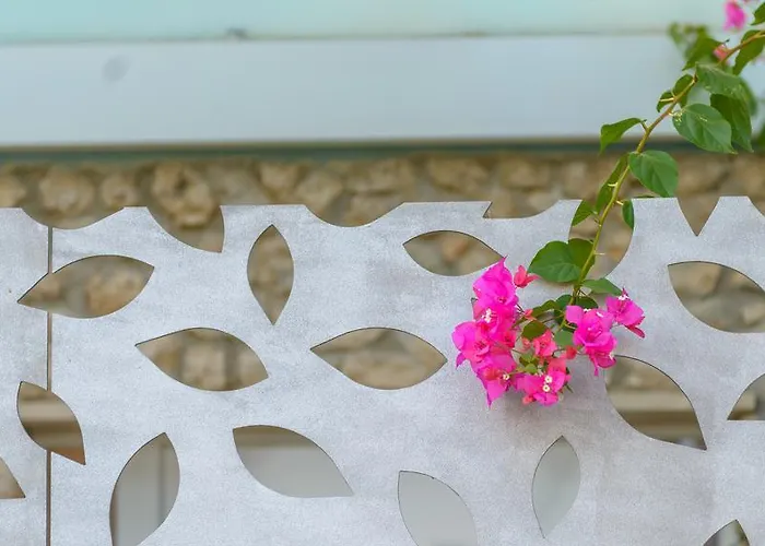 Mair * 두브로브니크